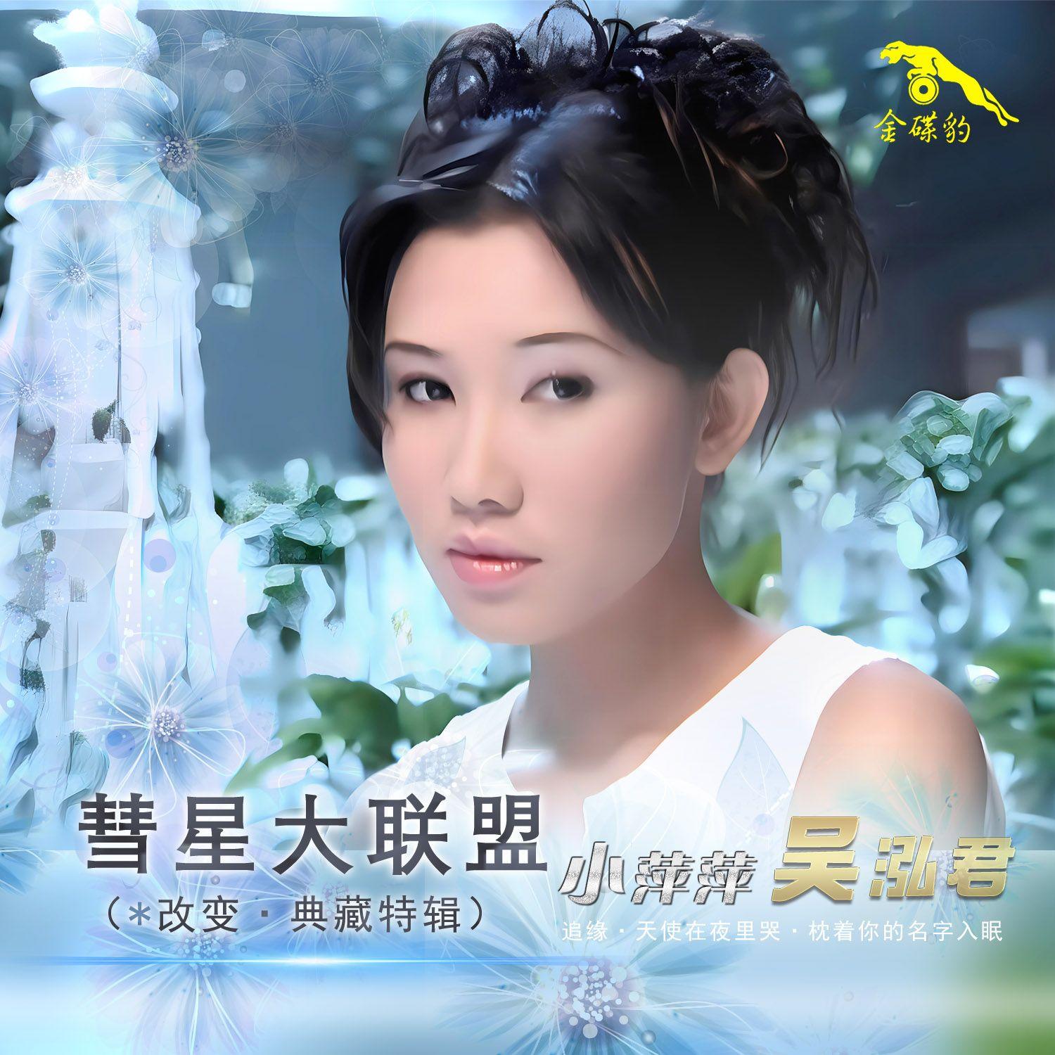 我用自己的方式爱你封面
