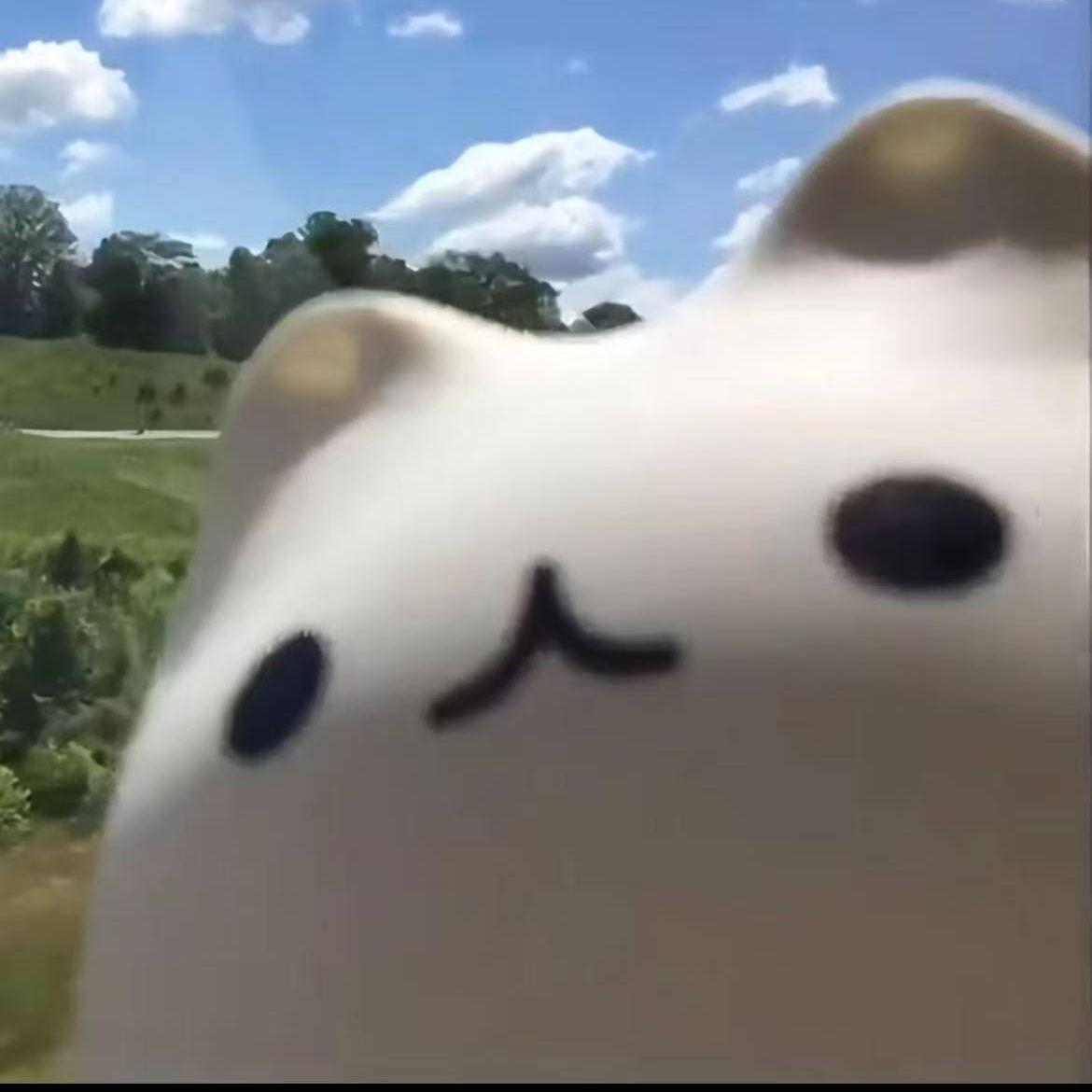 she wanna hate me ？lol