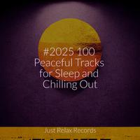 #2025 100 Peaceful Tracks for Sleep and Chilling Out