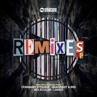 The Remixes