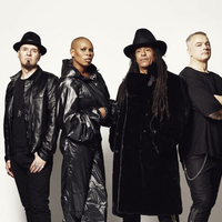 Skunk Anansie