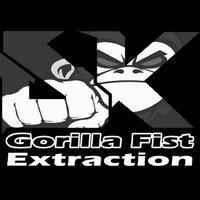 Gorilla Fist资料,Gorilla Fist最新歌曲,Gorilla FistMV视频,Gorilla Fist音乐专辑,Gorilla Fist好听的歌