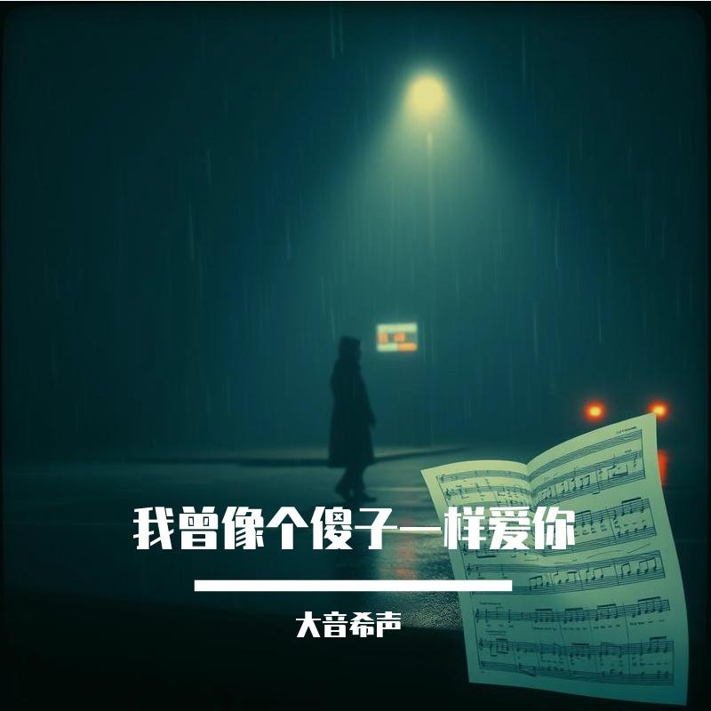 我曾像个傻子一样爱你