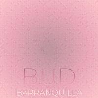 Bud Barranquilla