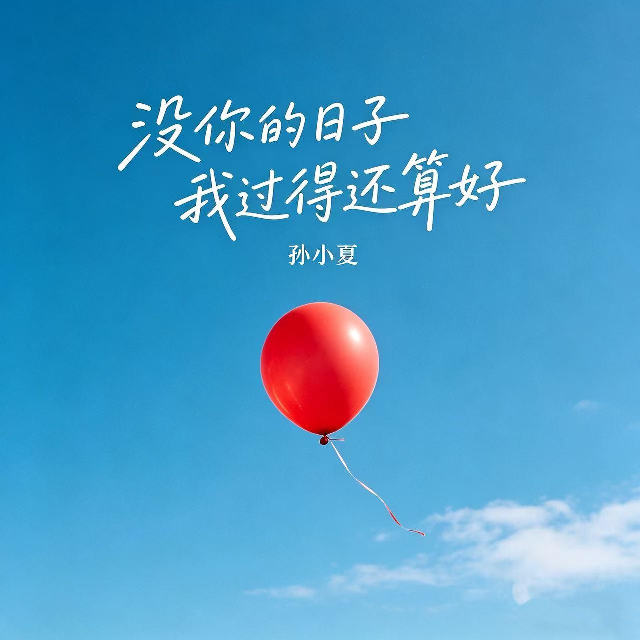 没你的日子我过得还算好封面