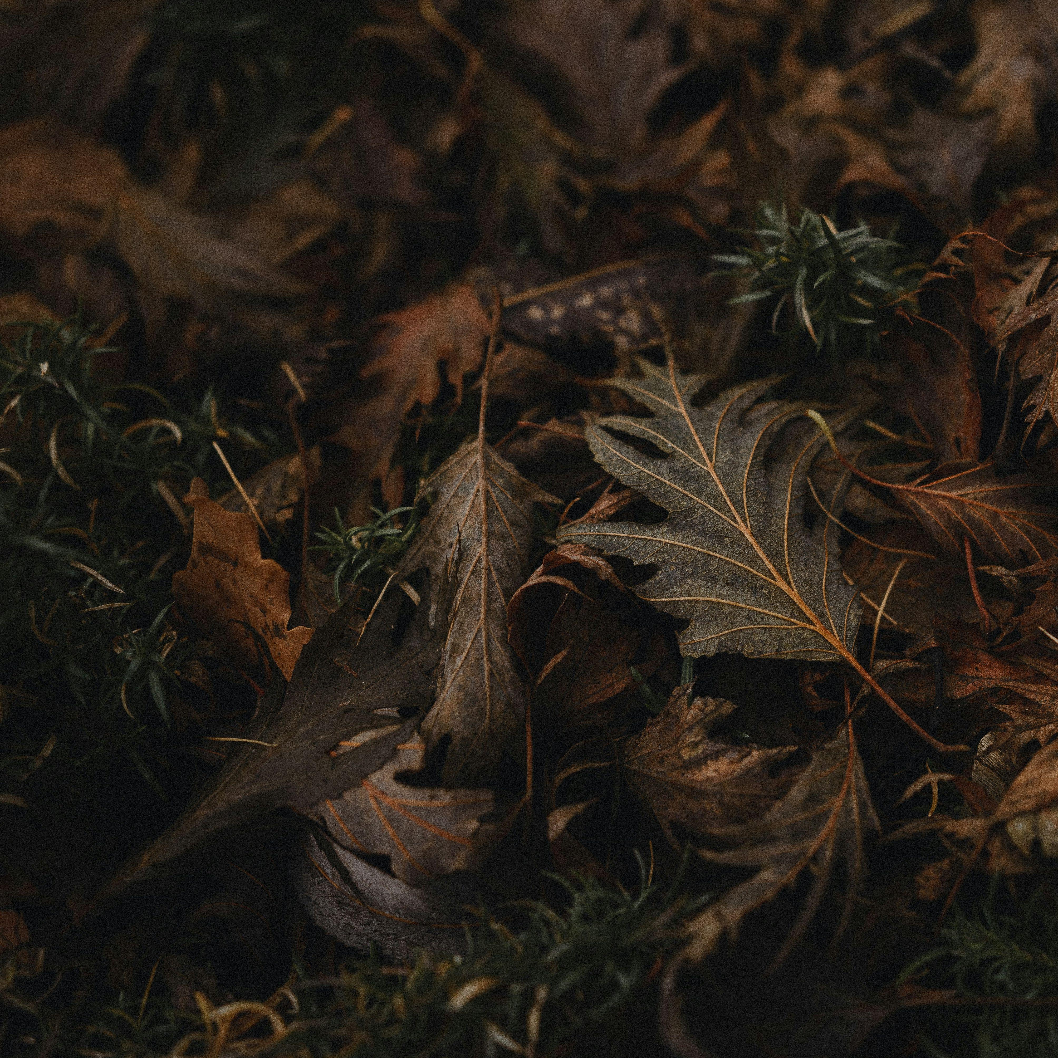 雨停之后等风来完整无损伴奏版 伴奏