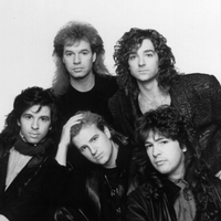 Glass Tiger