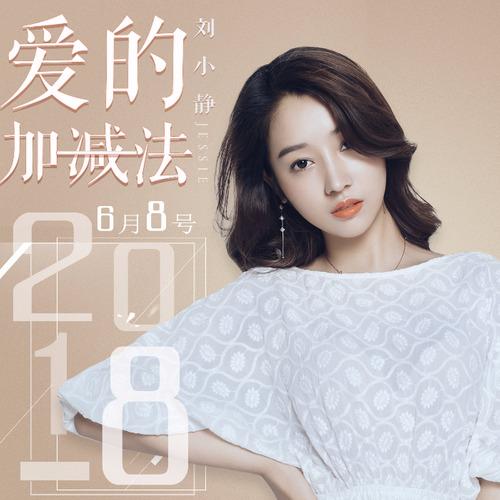 爱的加减法封面