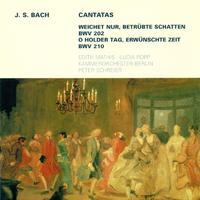 Edith Mathis - Weichet nur, betrubte Schatten, BWV 202,