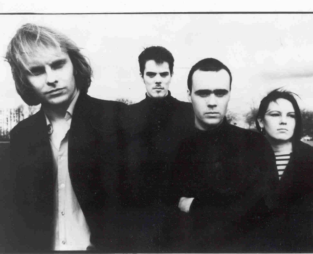 The Auteurs