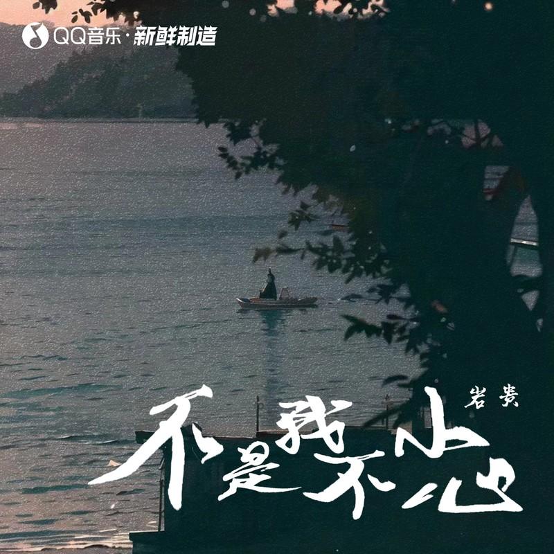 不是我不小心 - 岩贵封面