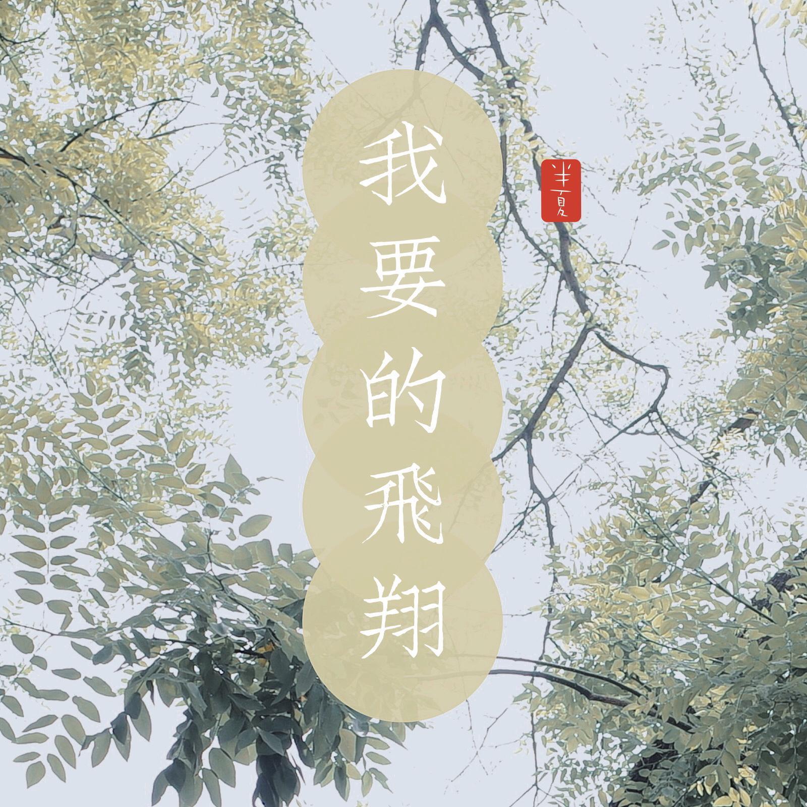 我要的飞翔封面
