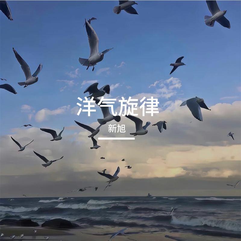 洋气旋律（魔性旋律纯享版）封面