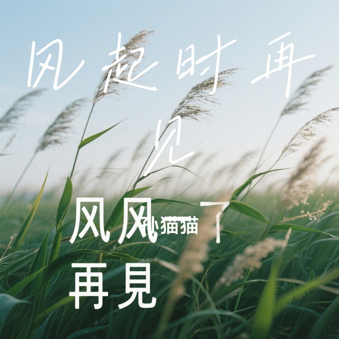 风起时再见封面