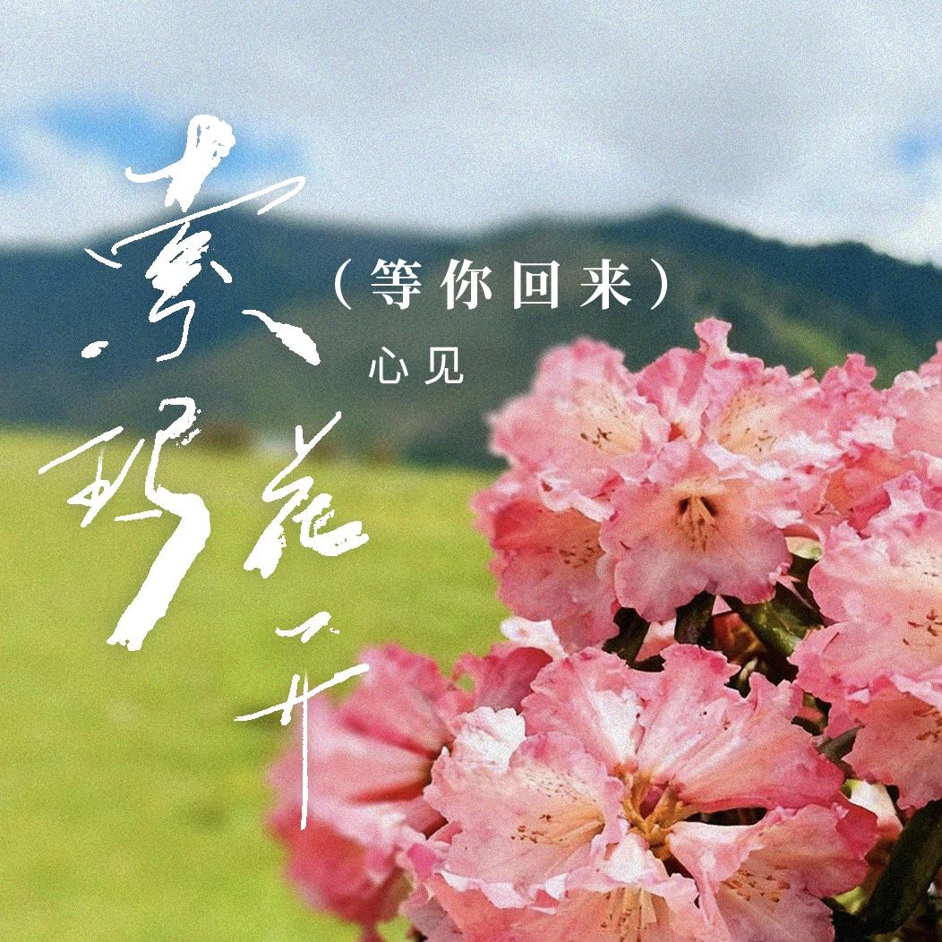 索玛花开(等你回来)(伴奏)封面