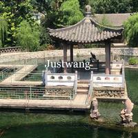 Justwang