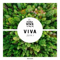 Viva 2019.1