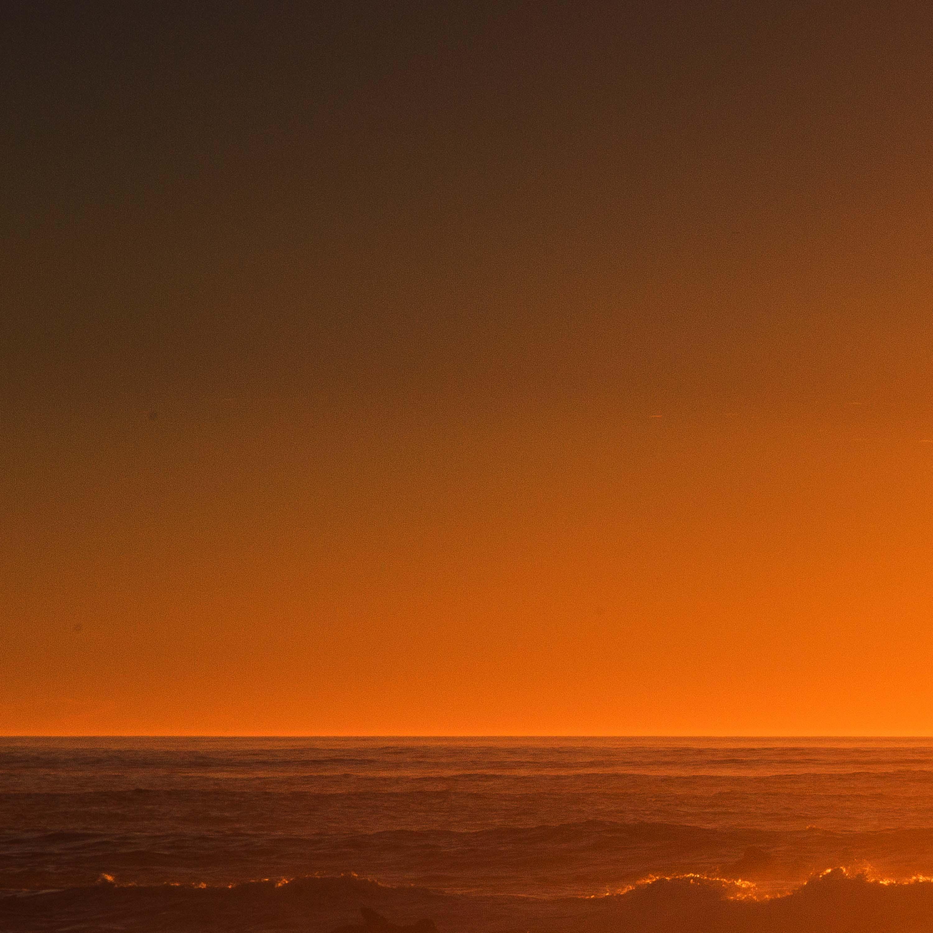 你猜我为什么执着于你