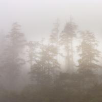 25 Mountain Rain Sounds to Help You Fall Asleep