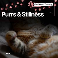 Cat Sound Therapy: Purrs & Stillness, Calming Place