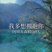我多想拥抱你（DJ锦先森 Remix）