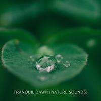 Tranquil Dawn (Nature Sounds)