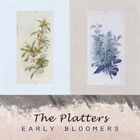 Early Bloomers