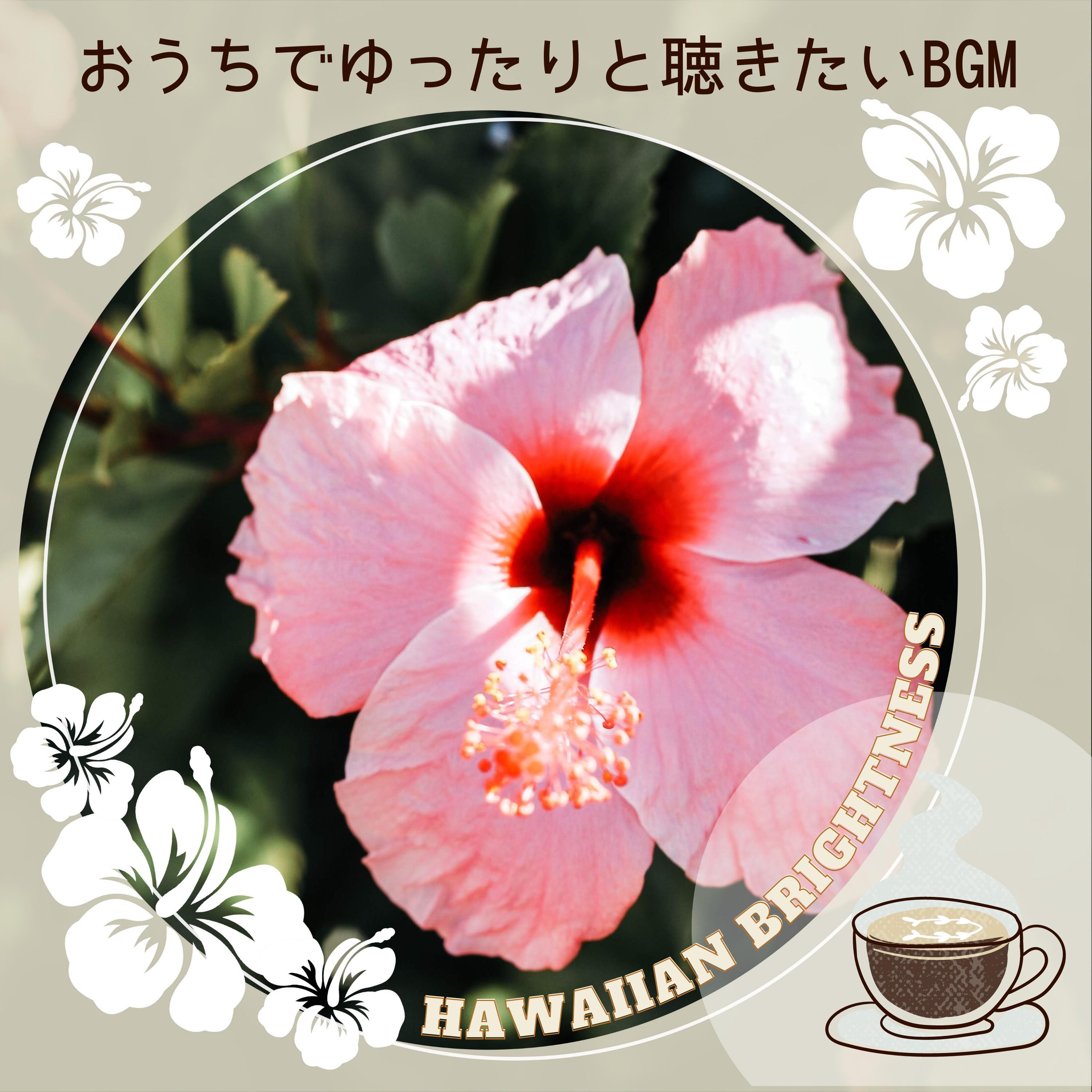 Red Hibiscus - Hawaiian Brightness - 单曲 - 网易云音乐