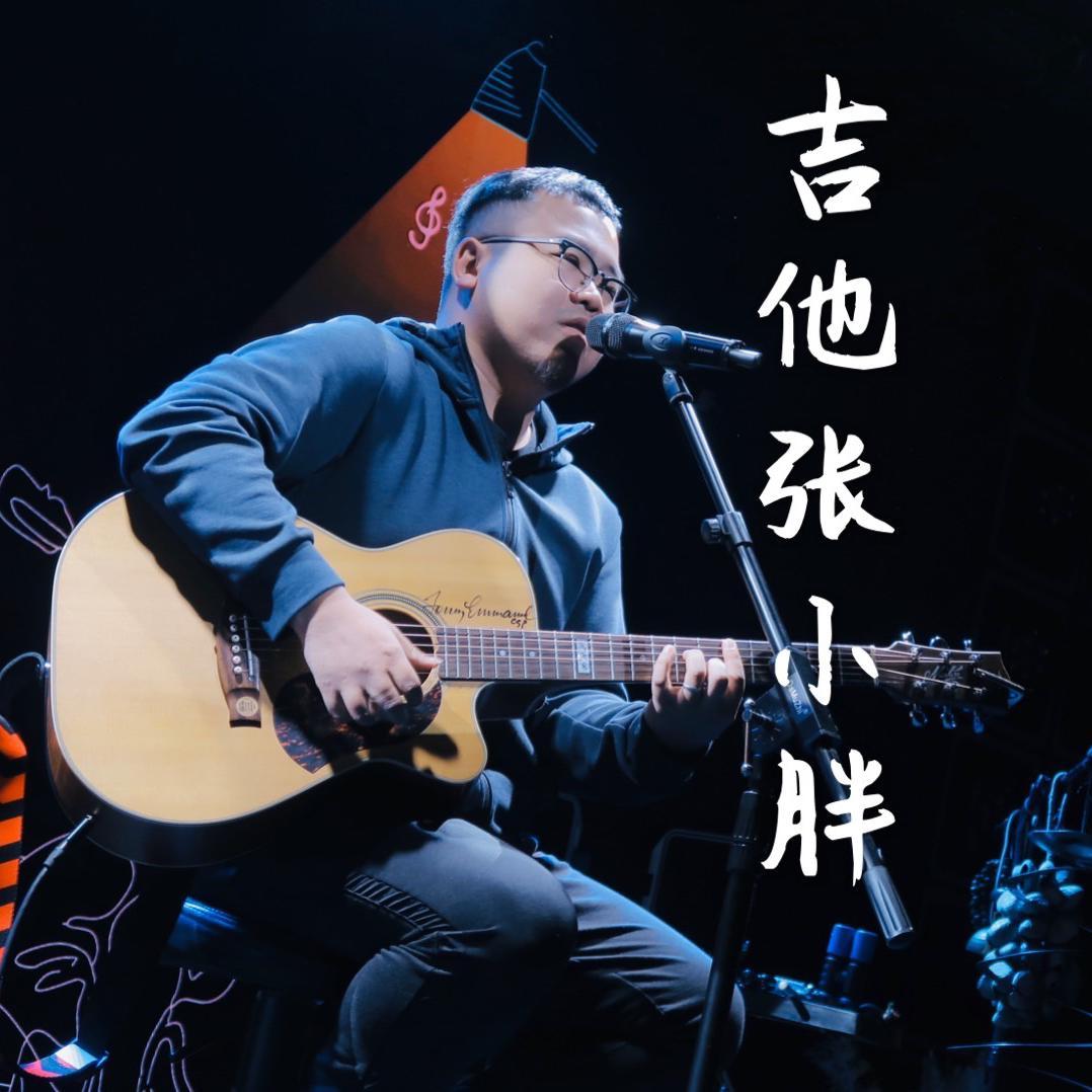白鹭鸶（原曲《泪光闪闪》）封面