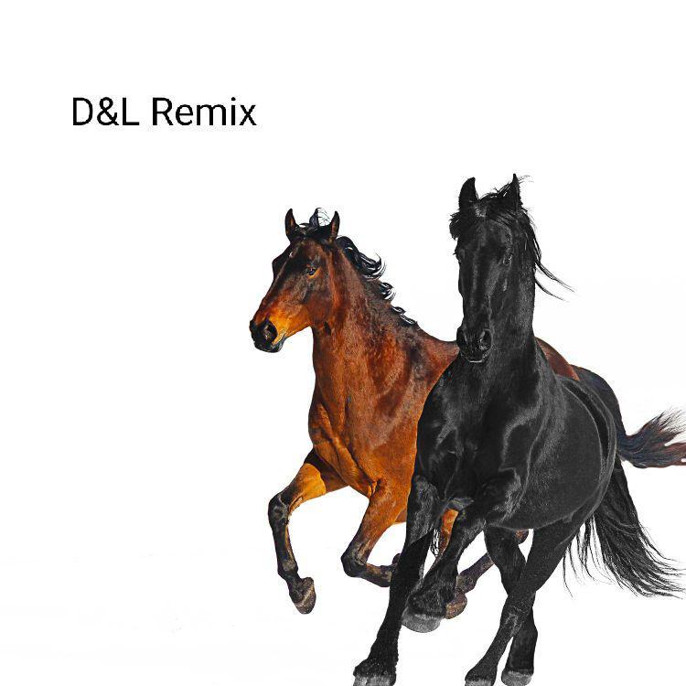 Lil Nas X-Old Town Road（D&L Remix）（王海宇DOUBLETHREE / 张云龙Lokey remix）