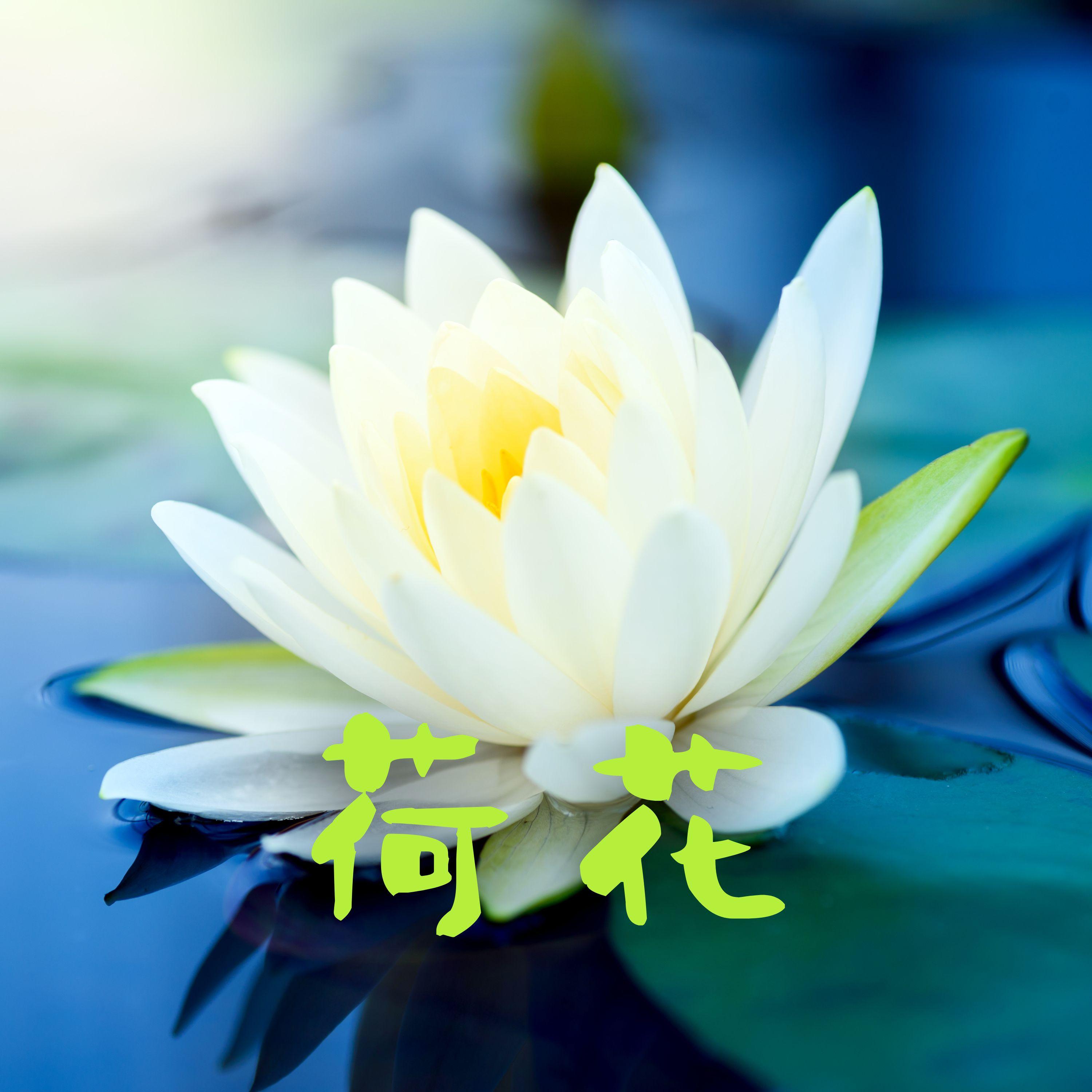轻背景音乐封面