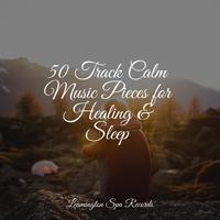 50 Track Calm Music Pieces for Healing & Sleep