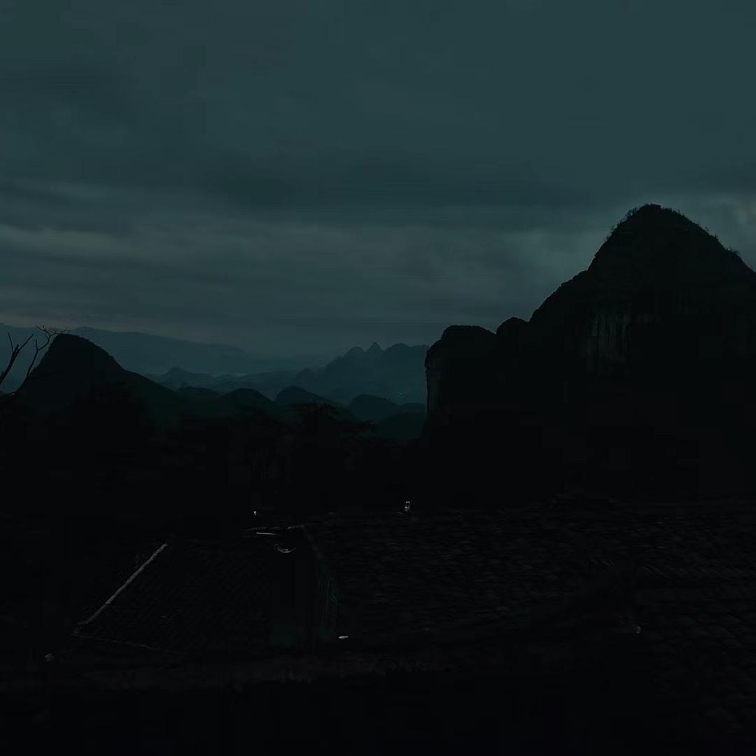 半醒 - 张天政封面