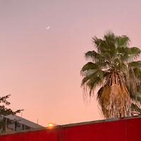 Raye_资料,Raye_最新歌曲,Raye_MV视频,Raye_音乐专辑,Raye_好听的歌