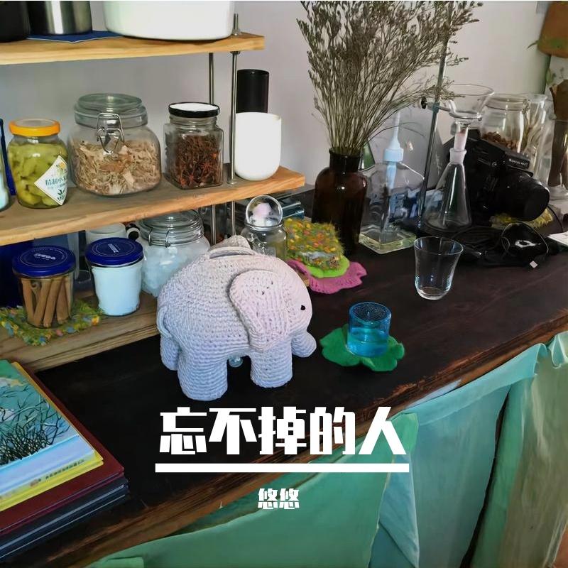 别错过他封面