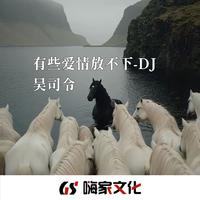 有些爱情放不下（DJ旋律版）