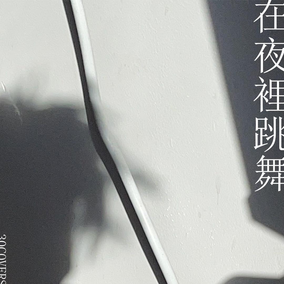 在夜里跳舞封面