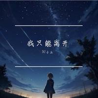 我只能离开
