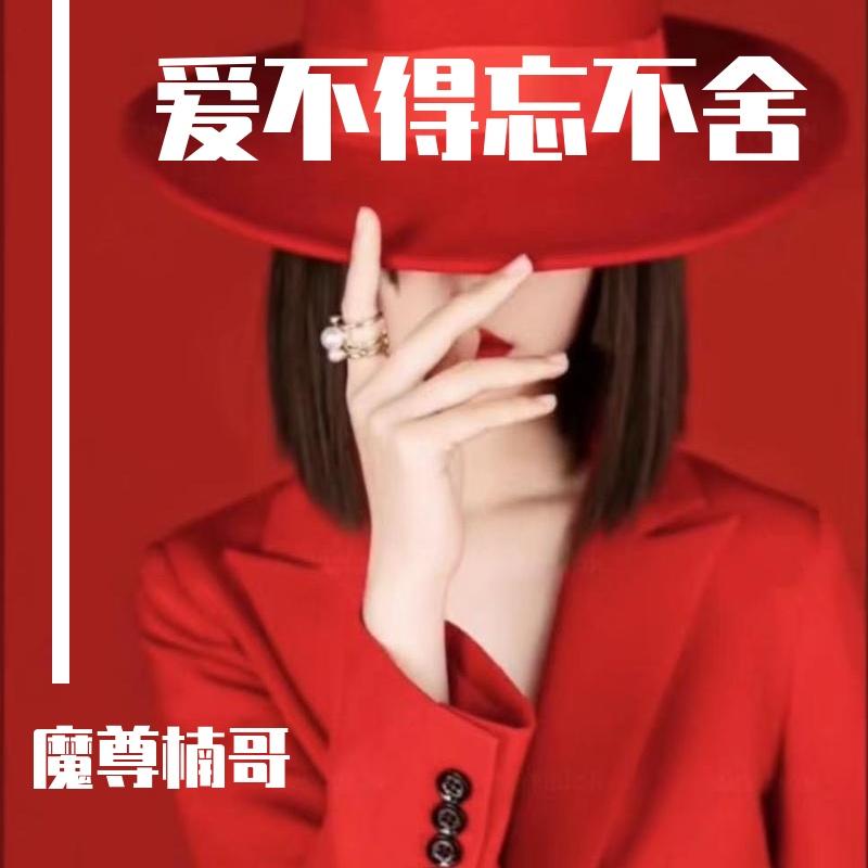 爱不得忘不舍 - 魔尊楠哥封面