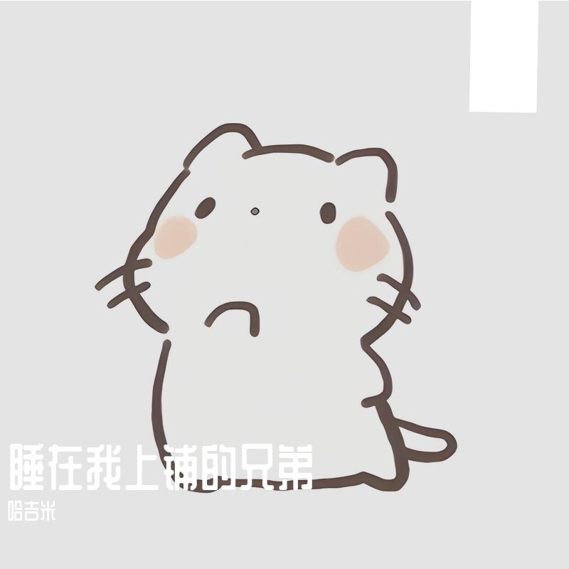 睡在我上铺的兄弟封面