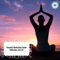 Peaceful Meditation Tunes Collection, Vol. 01