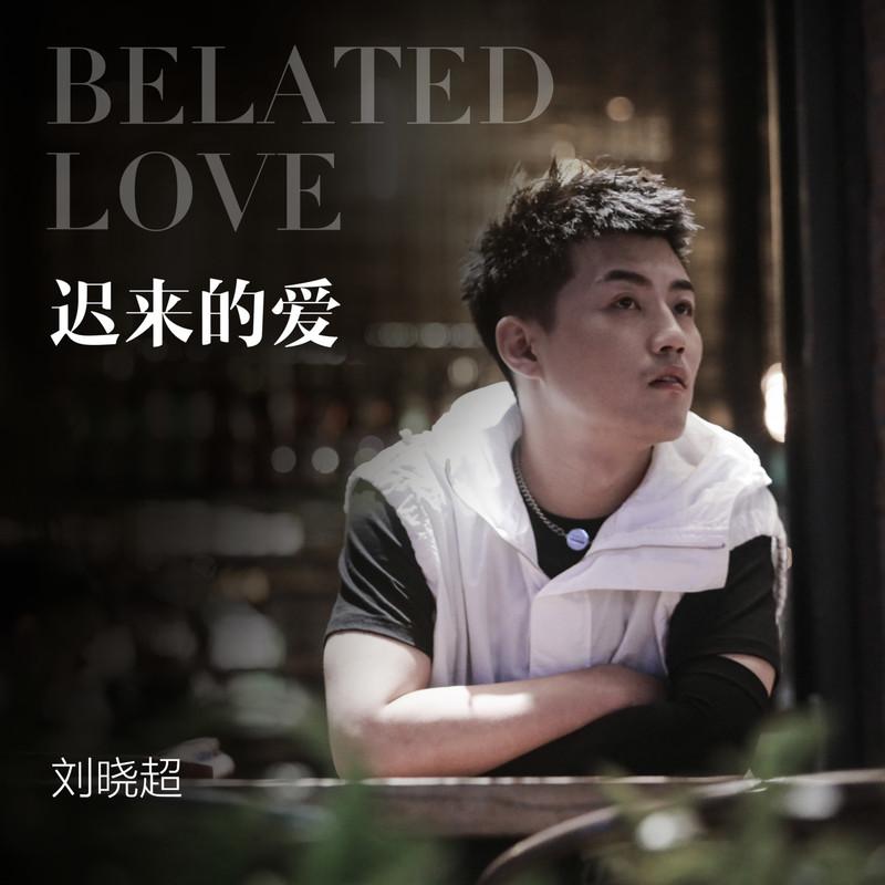 迟来的爱 (DJ默涵版)封面