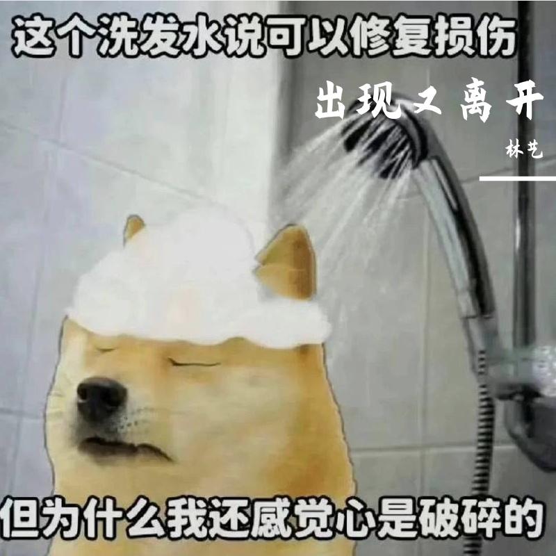 出现又离开【完整版】 - Ryan封面