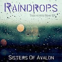 Raindrops (Today's Hits Remix EP)