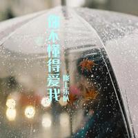 你不懂得爱我