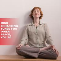 Mind Enhancing Tunes for Inner Peace, Vol. 05