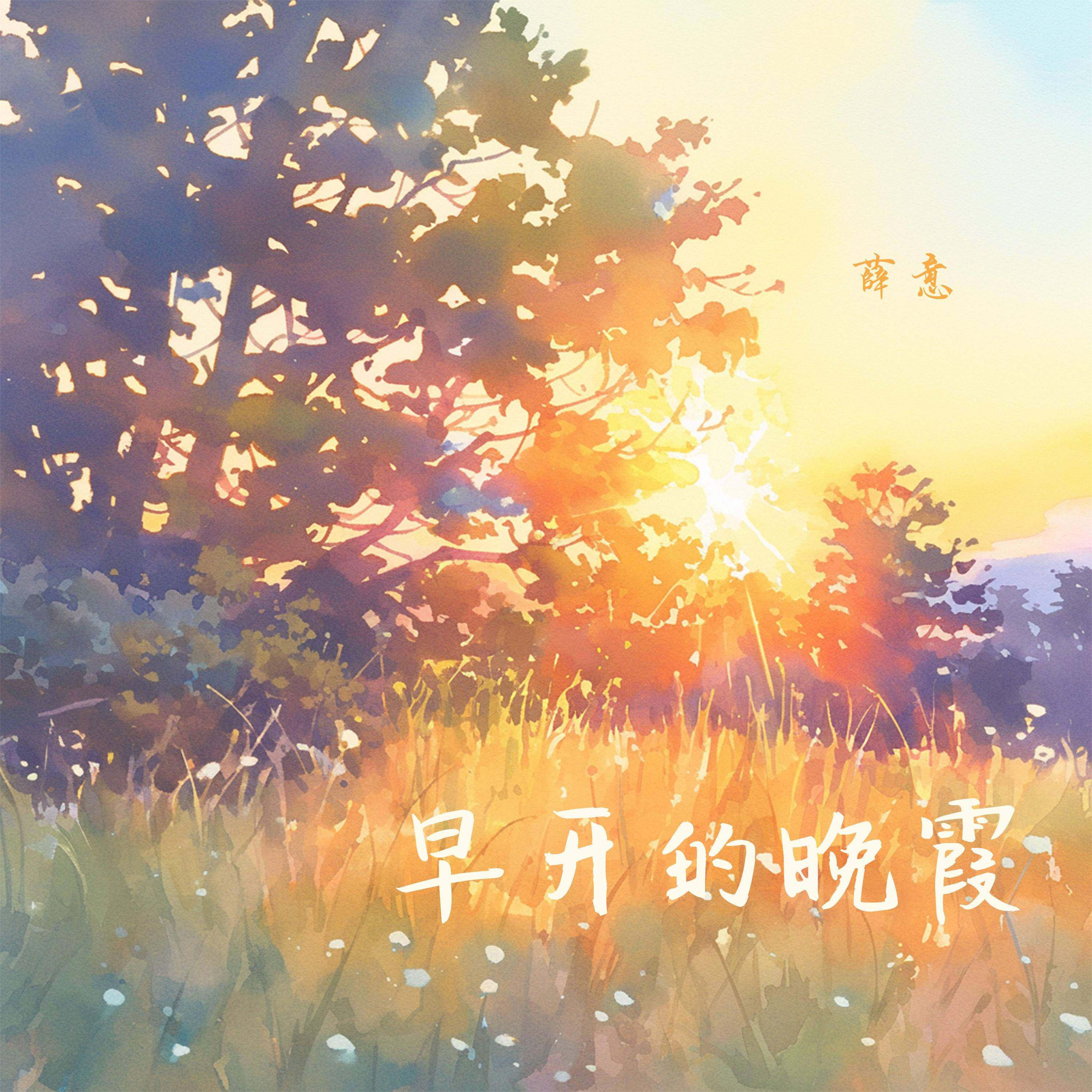 早开的晚霞 (夜晚版)封面