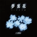 梦里花(DJ版)封面