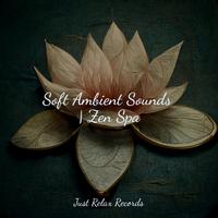 Soft Ambient Sounds | Zen Spa