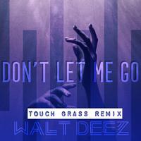 Dont Let Me Go (Touch Grass Remix)